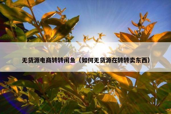 无货源电商转转闲鱼（如何无货源在转转卖东西）