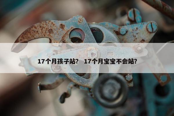 17个月孩子站？ 17个月宝宝不会站？