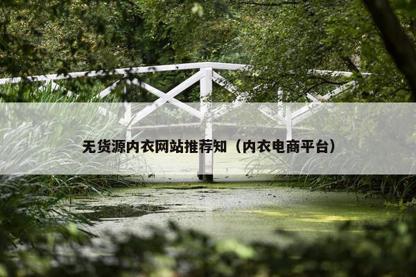 无货源内衣网站推荐知（内衣电商平台）
