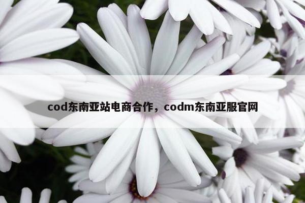 cod东南亚站电商合作，codm东南亚服官网