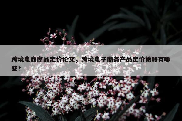 跨境电商商品定价论文，跨境电子商务产品定价策略有哪些?