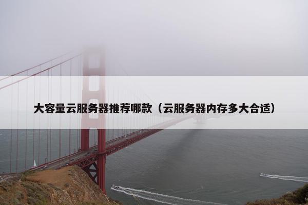 大容量云服务器推荐哪款（云服务器内存多大合适）