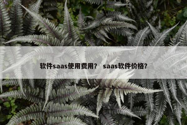 软件saas使用费用？ saas软件价格？