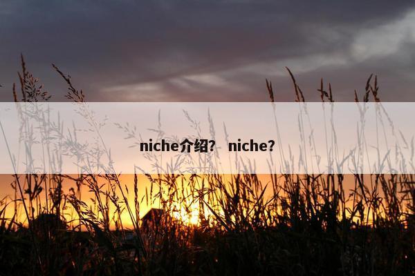 niche介绍？ niche？