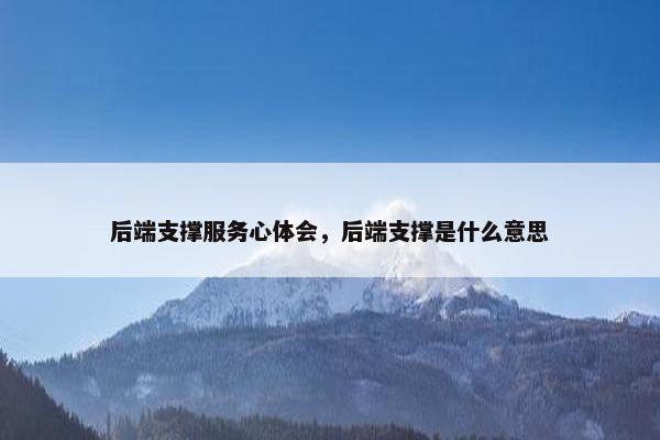后端支撑服务心体会，后端支撑是什么意思