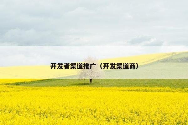 开发者渠道推广（开发渠道商）