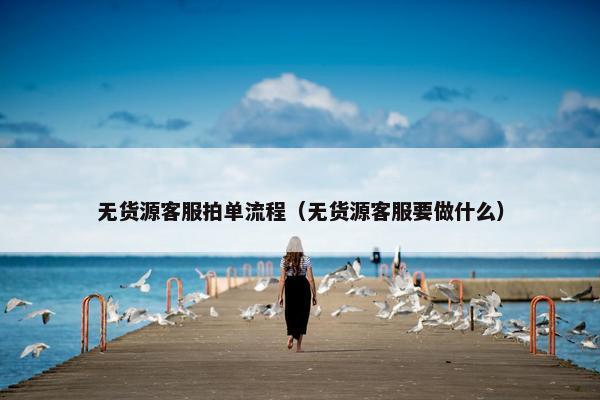 无货源客服拍单流程（无货源客服要做什么）
