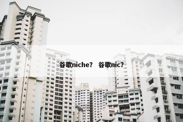 谷歌niche？ 谷歌nic？