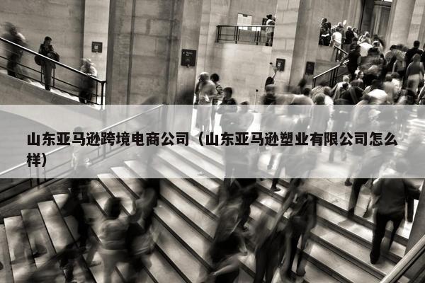 山东亚马逊跨境电商公司（山东亚马逊塑业有限公司怎么样）