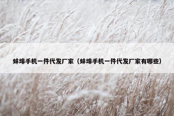 蚌埠手机一件代发厂家（蚌埠手机一件代发厂家有哪些）
