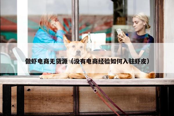做虾电商无货源（没有电商经验如何入驻虾皮）