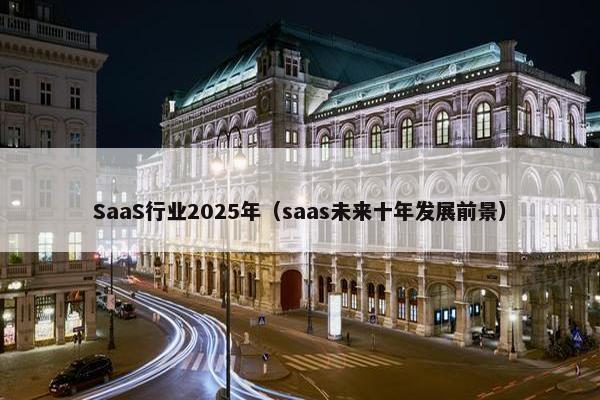 SaaS行业2025年（saas未来十年发展前景）