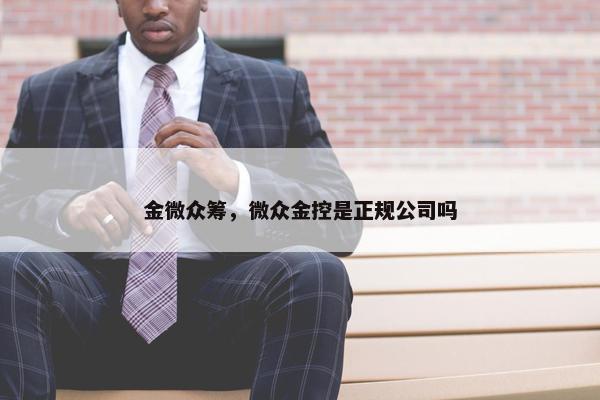 金微众筹，微众金控是正规公司吗