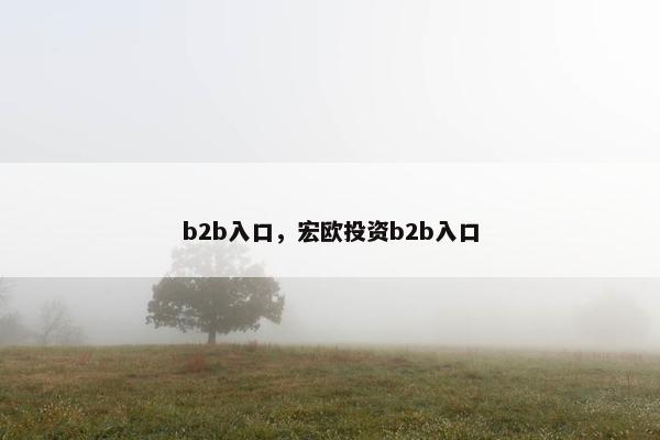 b2b入口，宏欧投资b2b入口