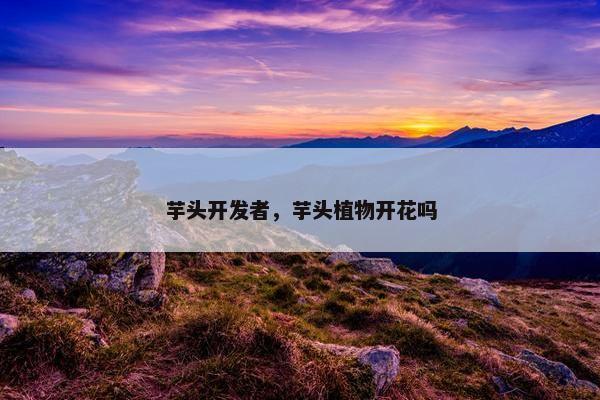 芋头开发者，芋头植物开花吗