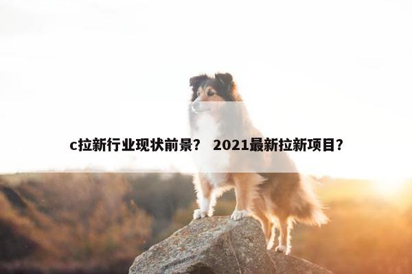 c拉新行业现状前景？ 2021最新拉新项目？