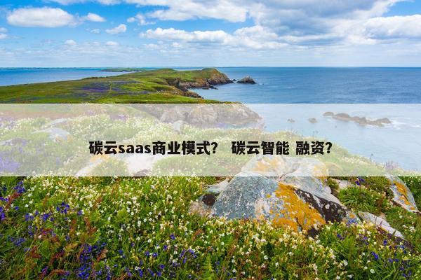 碳云saas商业模式？ 碳云智能 融资？
