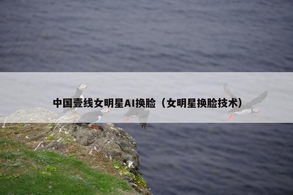 中国壹线女明星AI换脸（女明星换脸技术）