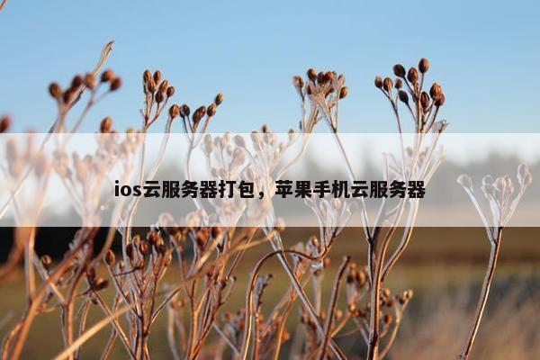 ios云服务器打包，苹果手机云服务器
