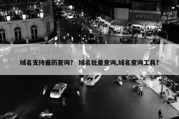 域名支持遍历查询？ 域名批量查询,域名查询工具？