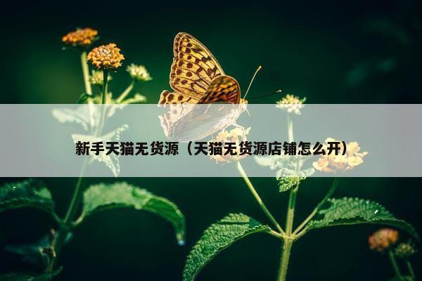 新手天猫无货源（天猫无货源店铺怎么开）