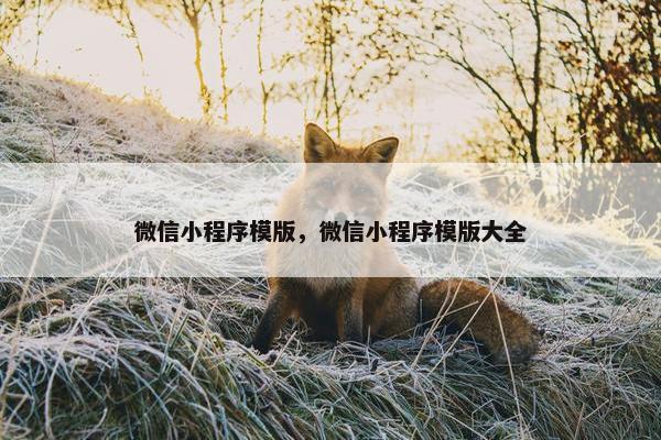 微信小程序模版，微信小程序模版大全