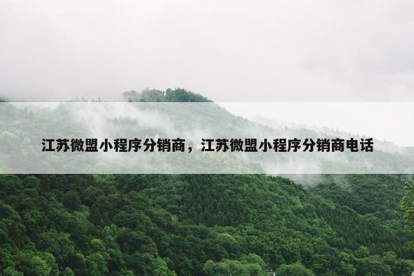 江苏微盟小程序分销商，江苏微盟小程序分销商电话
