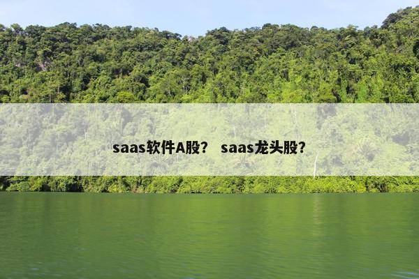 saas软件A股？ saas龙头股？