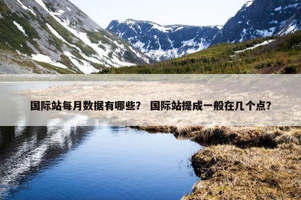 国际站每月数据有哪些？ 国际站提成一般在几个点？