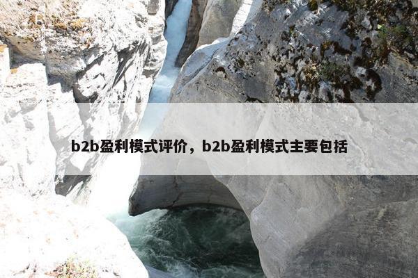 b2b盈利模式评价，b2b盈利模式主要包括