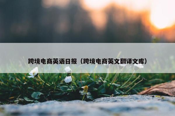跨境电商英语日报（跨境电商英文翻译文库）