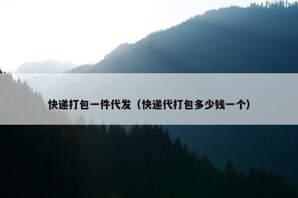 快递打包一件代发（快递代打包多少钱一个）