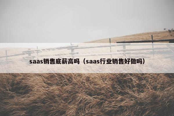 saas销售底薪高吗（saas行业销售好做吗）