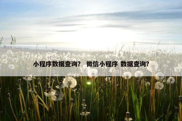 小程序数据查询？ 微信小程序 数据查询？