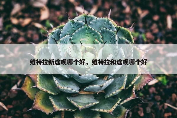 维特拉新途观哪个好，维特拉和途观哪个好