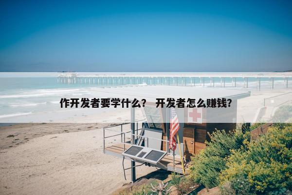 作开发者要学什么？ 开发者怎么赚钱？