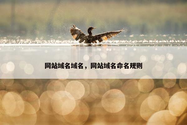 网站域名域名，网站域名命名规则