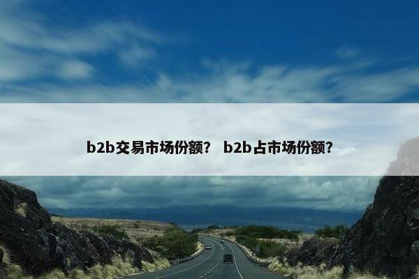 b2b交易市场份额？ b2b占市场份额？