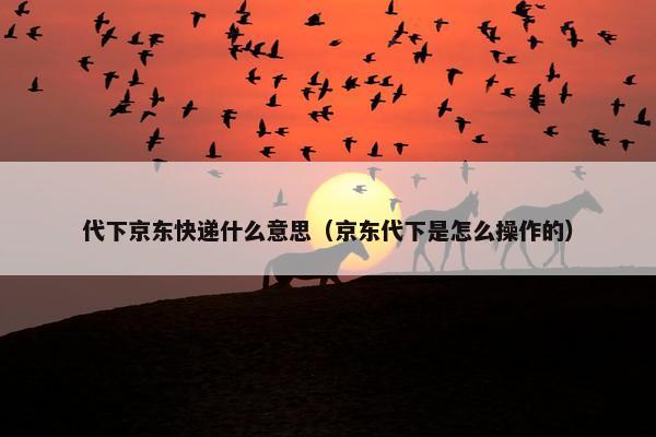 代下京东快递什么意思（京东代下是怎么操作的）
