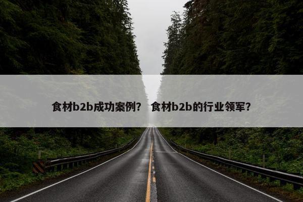 食材b2b成功案例？ 食材b2b的行业领军？