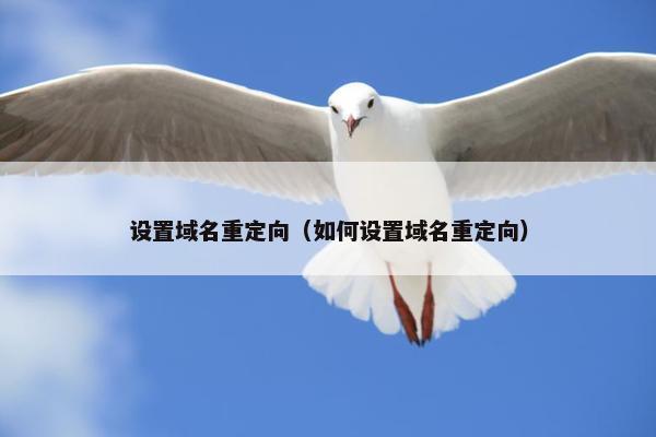 设置域名重定向（如何设置域名重定向）