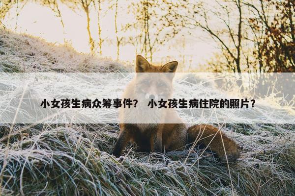 小女孩生病众筹事件？ 小女孩生病住院的照片？