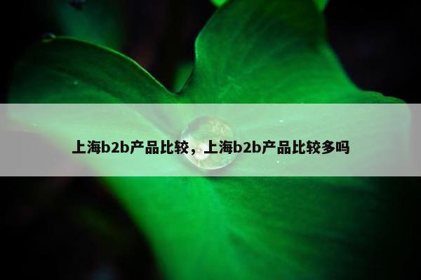 上海b2b产品比较，上海b2b产品比较多吗