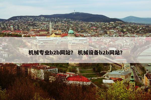 机械专业b2b网站？ 机械设备b2b网站？