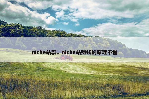 niche站群，niche站赚钱的原理不懂