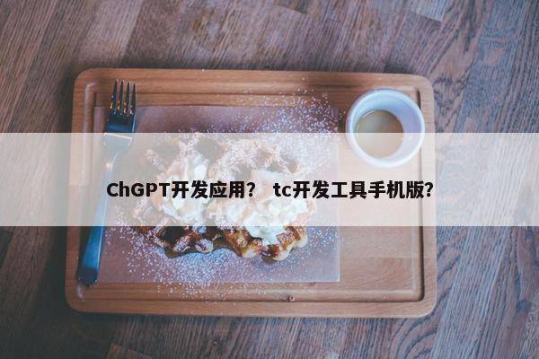 ChGPT开发应用？ tc开发工具手机版？