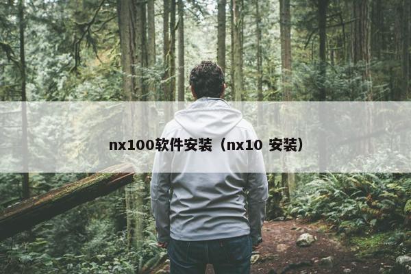 nx100软件安装（nx10 安装）