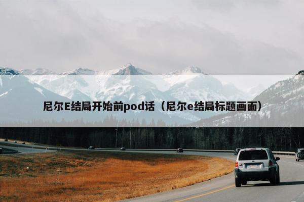 尼尔E结局开始前pod话（尼尔e结局标题画面）
