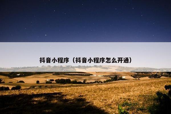 抖音小程序（抖音小程序怎么开通）