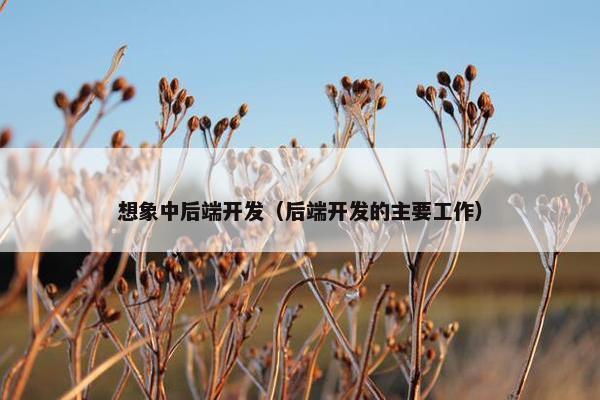 想象中后端开发（后端开发的主要工作）